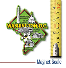 Washington D.C. Colorful State Magnet