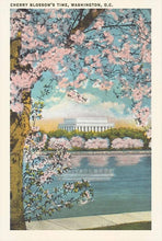 Japanese Cherry Blossoms Postcard
