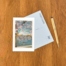 Japanese Cherry Blossoms Postcard
