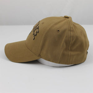 AIR FORCE W / WINGS LOGO BALL CAP