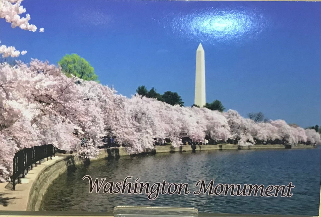Washington Monument Post Card