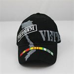 Vietnam Veteran w/Land and Ribbons