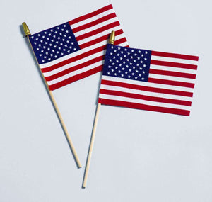American Stick Flag w/ Spear