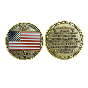 Pledge Allegiance To The Flag Coin