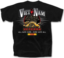 VIETNAM VETERAN ALL GAVE, SOME SOME GAVE ALL T-Shirt
