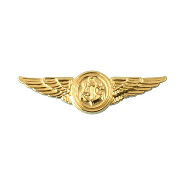 Navy Aircrew Pin