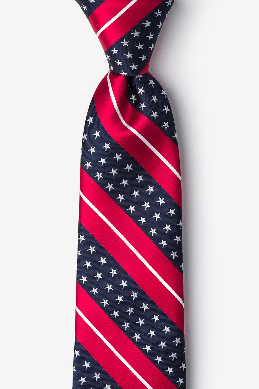 Freedom Stripe Tie